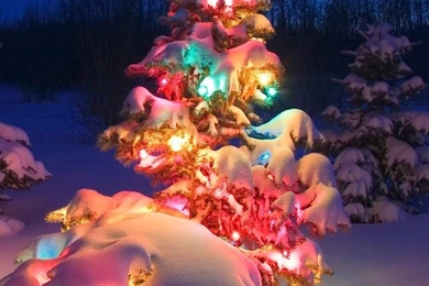 Cool christmas tree iphone hd wallpaper_4a24f8fe7b435669f92568f9f2b82c90_raw.jpg