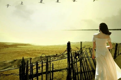 Lonely Girl On Beach Hd Wallpapers