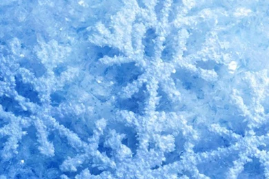 2015 Christmas Themed iPhone 6 Plus Wallpapers Ideas For Girls ...