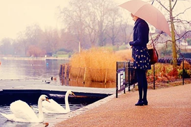 LONELY GIRL WALLPAPER   (