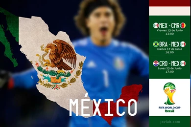 Wallpapers Brasil 2014 Mexico (Guillermo Ochoa) By Jovlab On ...