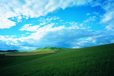 Best Vast Grassland Wide Photography, 1920x1200 HD Wallpapers And ...