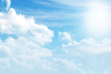 Grassland iPhone 5s Wallpapers