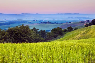 Grassland 1920x1080 Wallpapers, 1920x1080 Wallpapers & Pictures ...