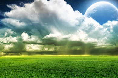 Natural Grassland Wallpaper, Green Backgrounds, Pictures And Images