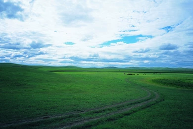 Grassland Scenery Wallpapers 22926   Wallpapers Landscape Scenery ...