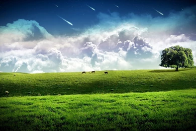 High Definition City And Natural Wallpapers Free Download   Planet ...