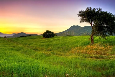 Scenery: Sardinia Italy Nature Scenery Landscape Tree Mountain ...