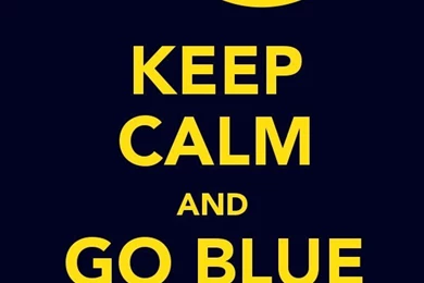 Michigan Football Wallpapers   Snap! Wallpapers