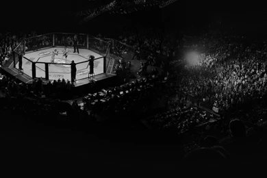 MMA News, UFC News   LowKick MMA