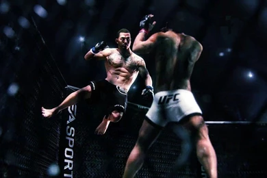 UFC Mma Fighting Martial Arts Mixed (6) Free Desktop Backgrounds ...