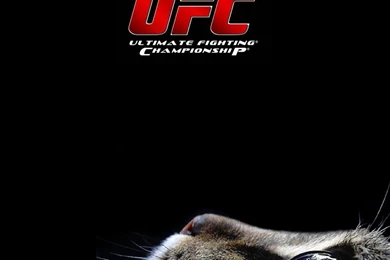 UFC Gallery