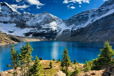 Free Nature Wallpapers HD