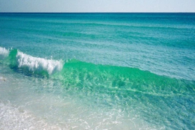 Free Mobile Downloads For Android Phones