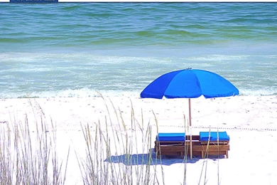 Jimmy Buffett Wallpapers For Mobile On Wallpapers Bros