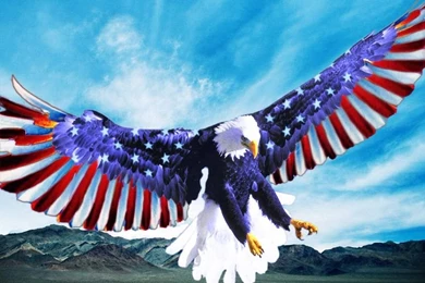 4th Of July Backgrounds