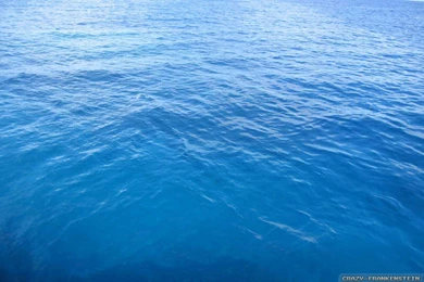 Pacific Ocean (id: 193815) – BUZZERG