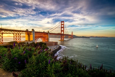Download Wallpapers San Francisco, Usa, Pacific Ocean, California ...