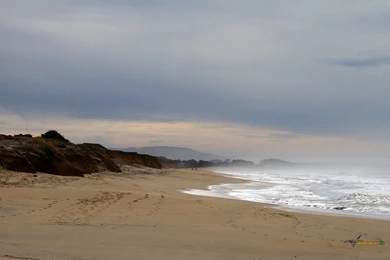 Pacific Ocean, Photo, 1920x1200 HD Wallpapers And FREE Stock Photo