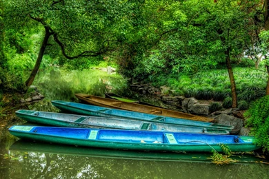 Nature Wallpapers Free Download