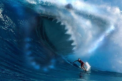 Pictures Of The Ocean