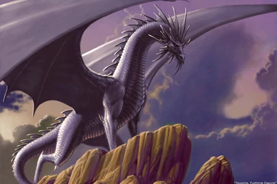 1601 Dragon HD Wallpapers