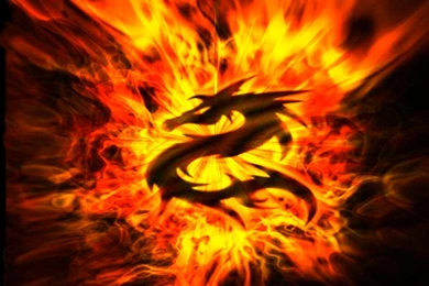 Fire Dragon HD Backgrounds Wallpapers 1781   HD Wallpapers Site