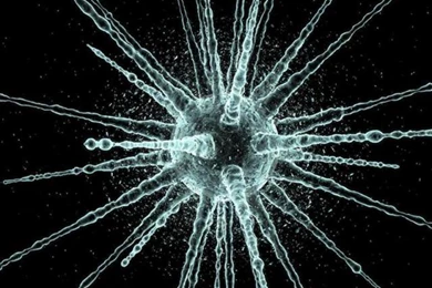 The Your Web: Cool Iphone Wallpapers   iPhone Wallpapers