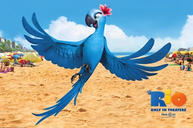 35 High Quality Wallpapers Of Famous Cartoon Characters   The ...