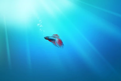 Windows, Cartoon, Character, Wallpapers, Characters (