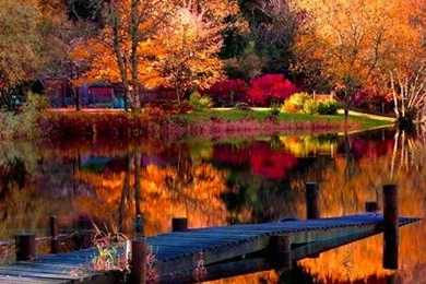 Autumn Wallpapers HD   Android Apps On Google Play