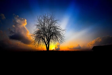 Best Background In The World Background 1024x640.jpg