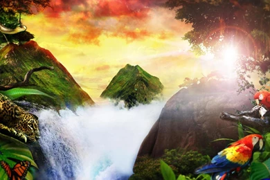 BEST OF THE WORLD WALLPAPER   (