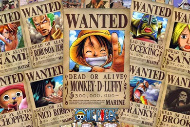 Wallpapers Wanted One Piece Pirates Anime Wallpapers HD Free
