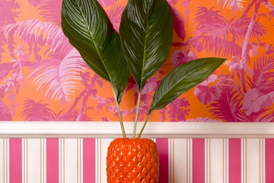PAMPAS Wallpapers Tangerine / Azalea