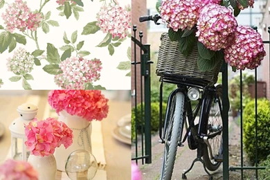 Under The Coral Sea With York Wallcoverings!