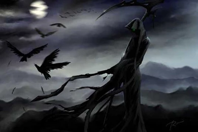 Death And Crows Wallpapers