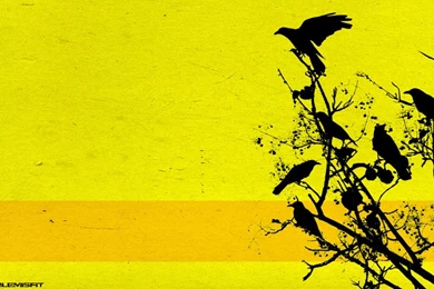 Black Crows Wallpapers By SociableMisfit On DeviantArt