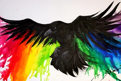 Animals Rainbows Crows Wallpapers