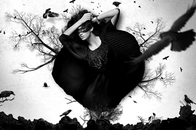 Crow Wallpapers >> Backgrounds With Quality HD