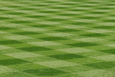 Baseball Field Backgrounds