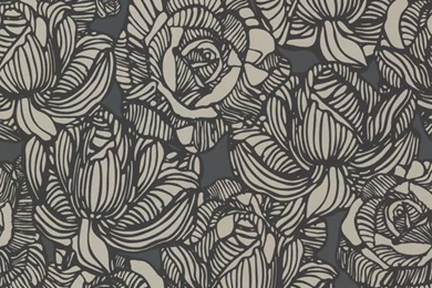 Calista Black Modern Rose Wallpapers Design By Brewster Home ...