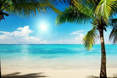 Caribbean Beach Wallpapers Theme