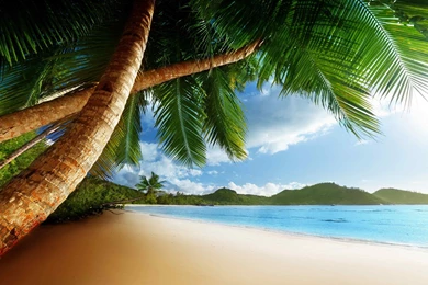 Caribbean HD Desktop Wallpapers ~ Toptenpack.com