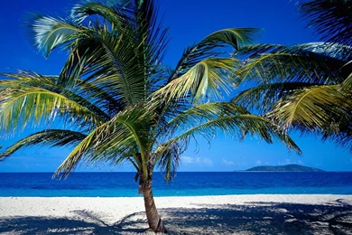 Caribbean Wallpapers