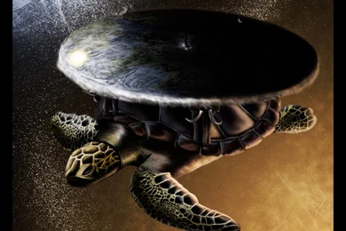 DeviantArt: More Like Discworld  wallpaper  By Barnsdale11