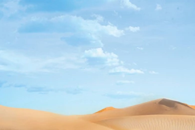 Takodana Woods   Star Wars Backgrounds – LEGO.com   Star Wars ...