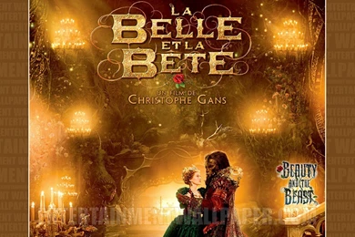 Beauty And The Beast   Entertainment Wallpapers.com Wallpapers ...