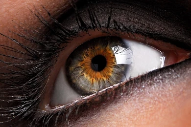 Full HD 1080p Pupil Wallpapers HD, Desktop Backgrounds 1920x1080