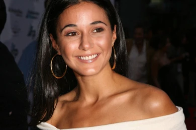 Emmanuelle Chriqui   Wallpapers